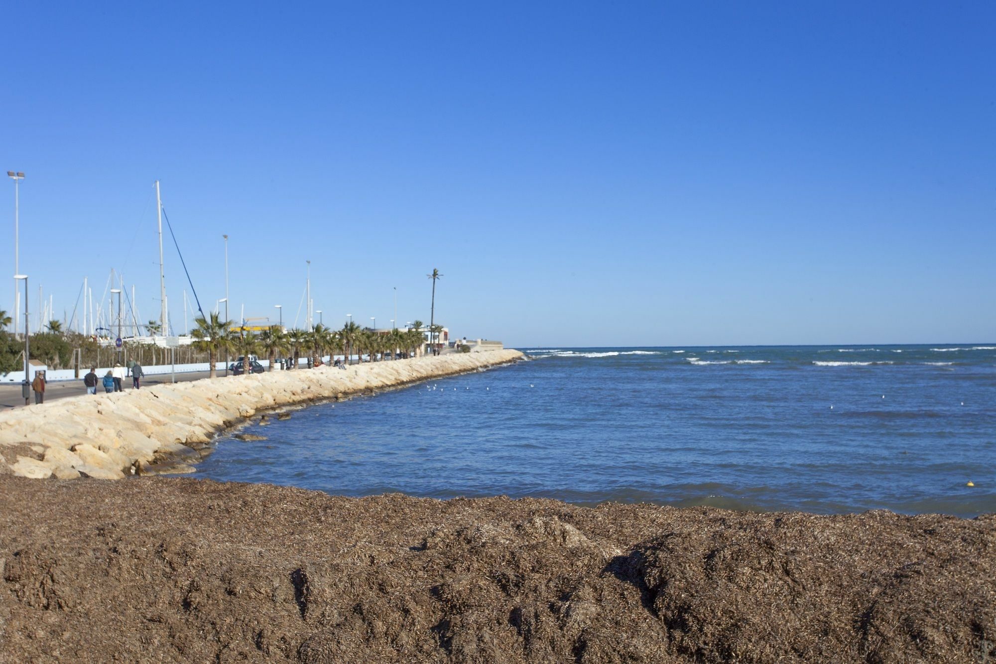 Marinada * Dénia